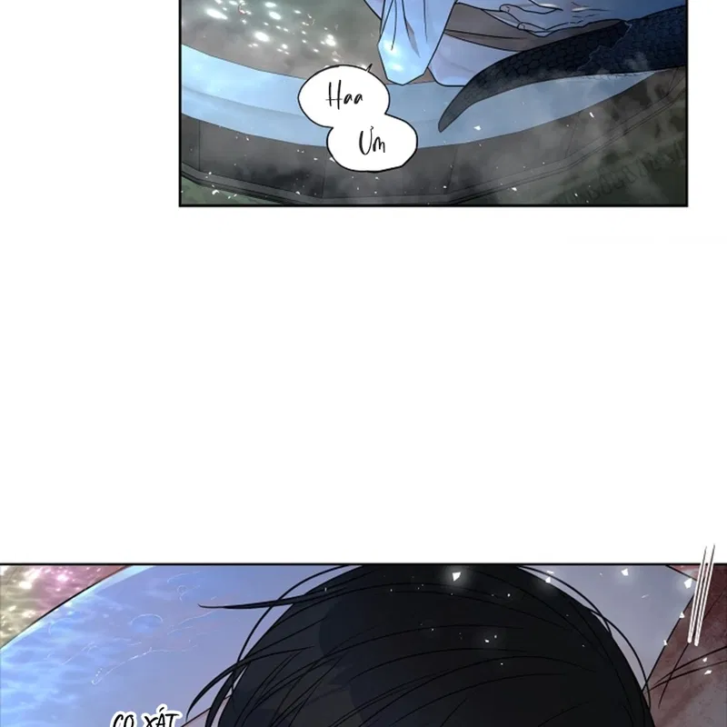 HANG RẮN Chapter 12 - H - Next Chapter 13 - H+