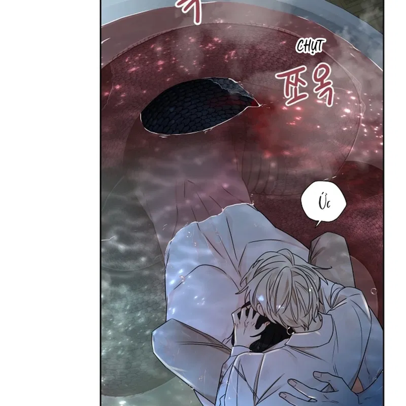 HANG RẮN Chapter 12 - H - Next Chapter 13 - H+