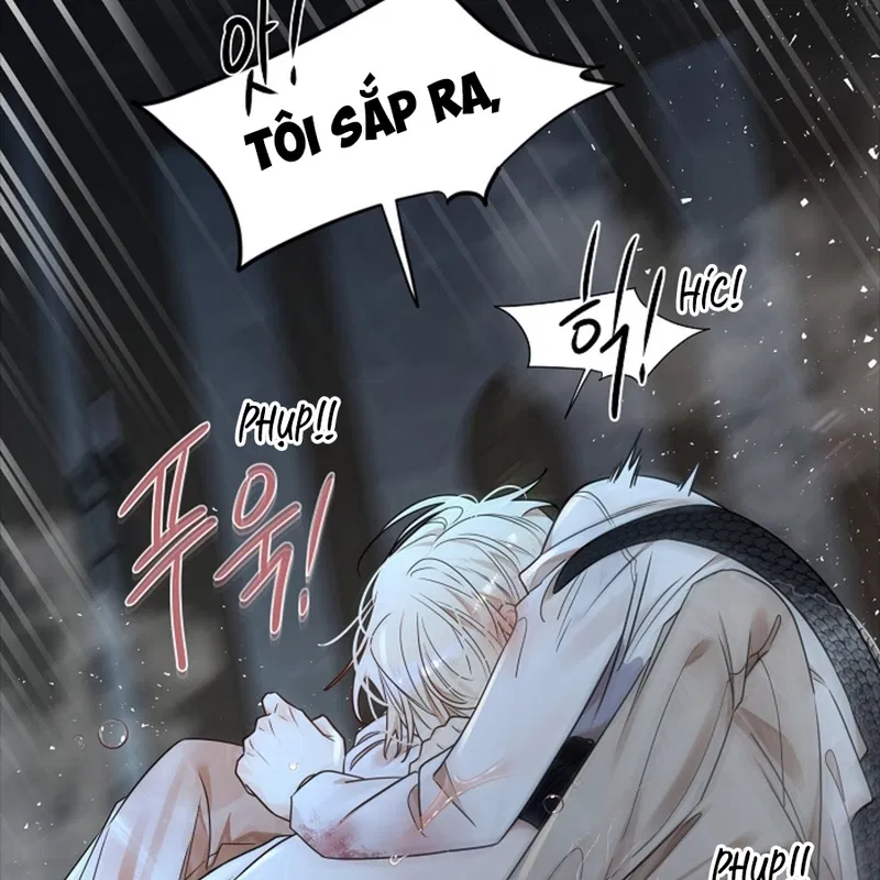 HANG RẮN Chapter 12 - H - Next Chapter 13 - H+