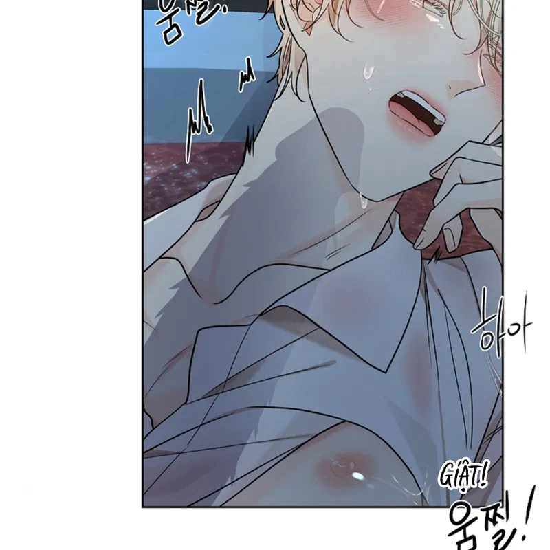 HANG RẮN Chapter 12 - H - Next Chapter 13 - H+