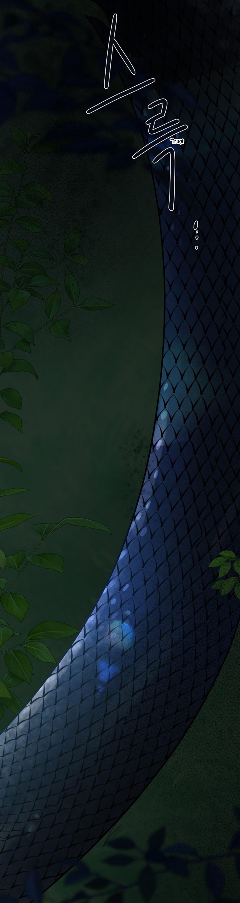 HANG RẮN Chapter 3 - Trang 3