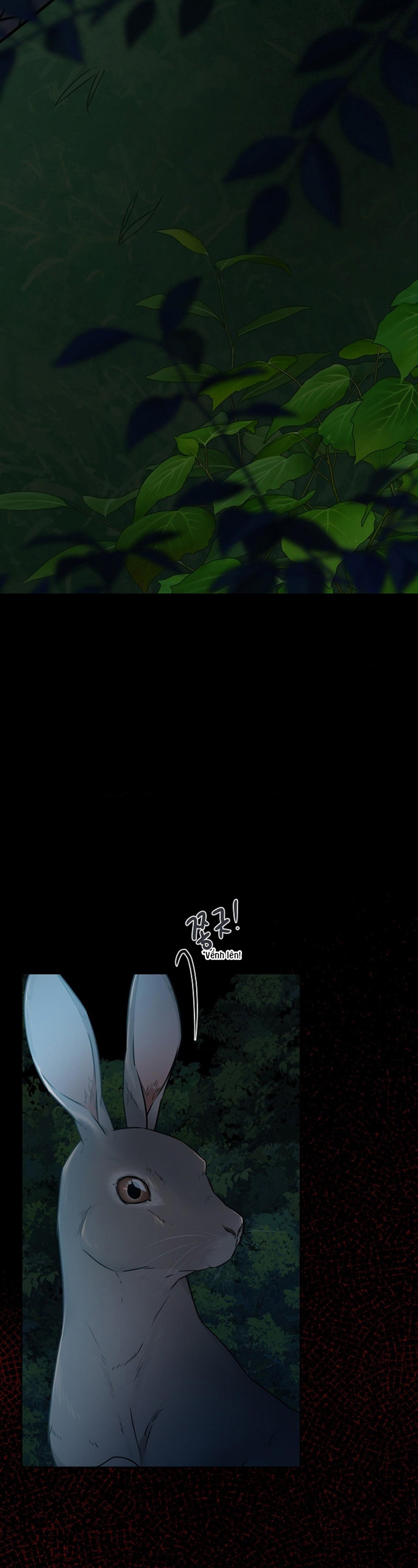 HANG RẮN Chapter 3 - Trang 3