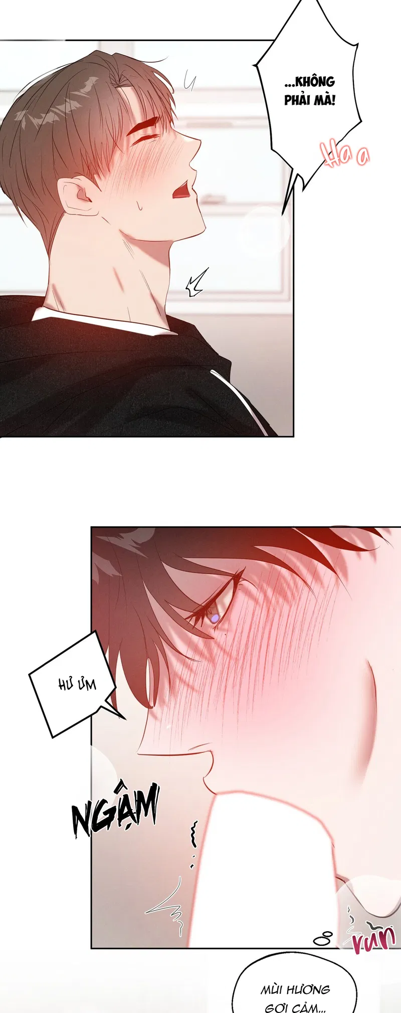 Nghịch Lý Tình Yêu Chapter 3 - H+ - Next Chapter 4 - H+