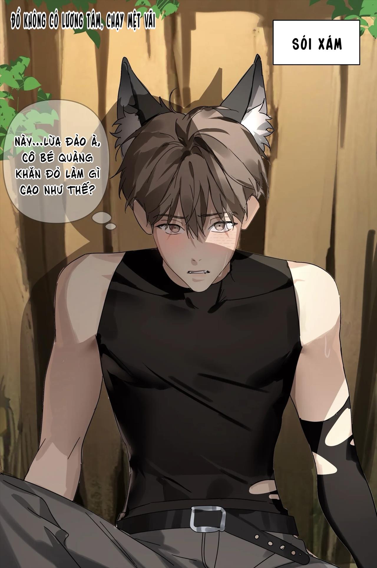 Ống kính mờ Quàng khăn đỏ x sói xám - Trang 2