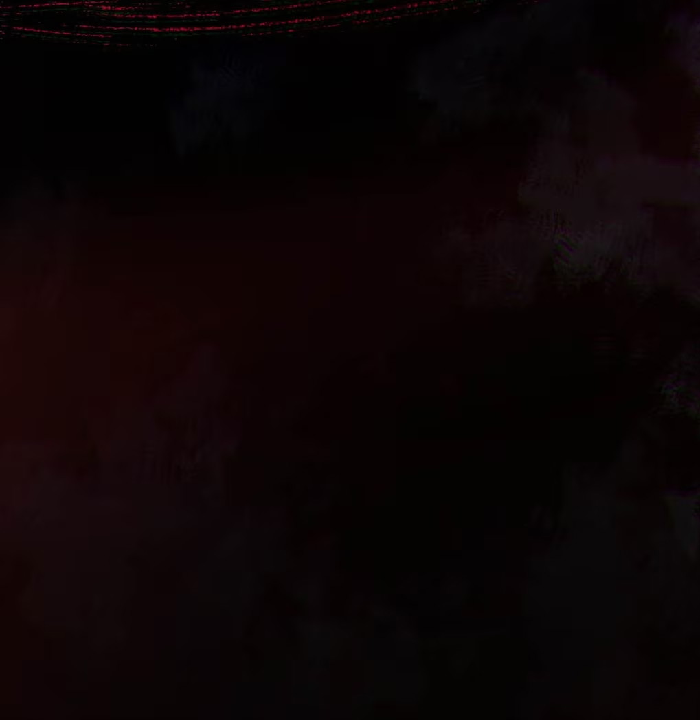 Xin Hãy Nuôi Dưỡng Mị Ma Này Chap 7 - Trang 3