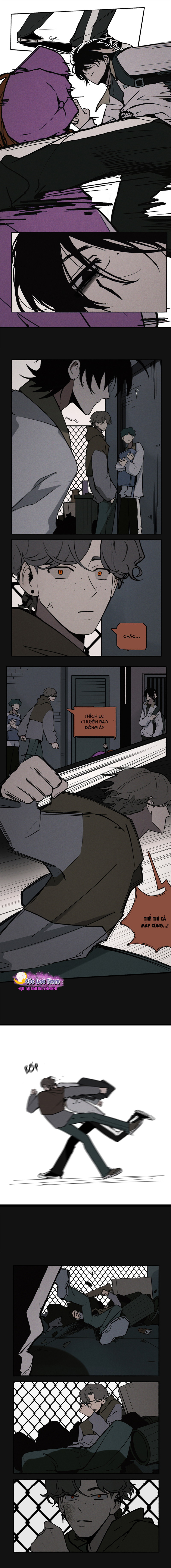Hỗn Hợp Độc Tố Chapter 3 - Trang 2