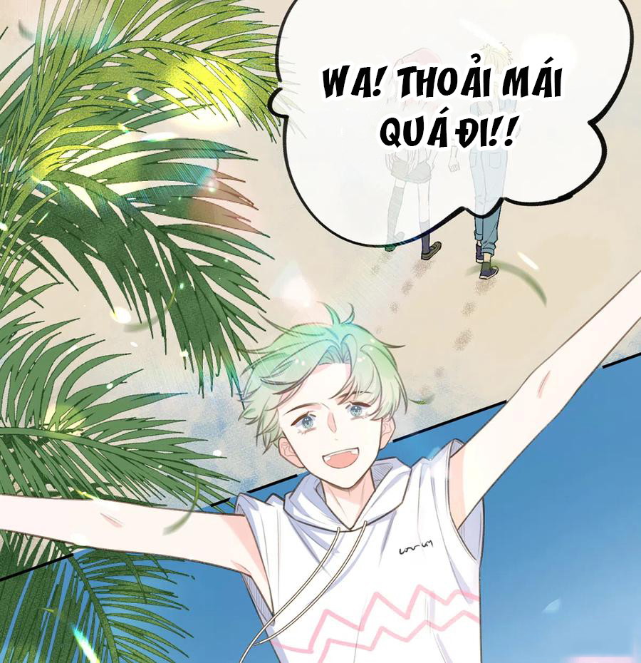 Tình Yêu Mạng Ngọt Ngào Lật Xe Rồi! Chapter 72 - Next Chapter 73