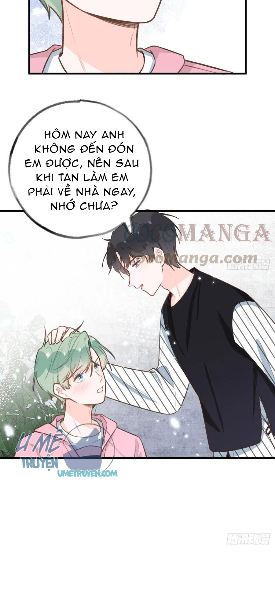 Tình Yêu Mạng Ngọt Ngào Lật Xe Rồi! Chapter 82 - Next Chapter 83