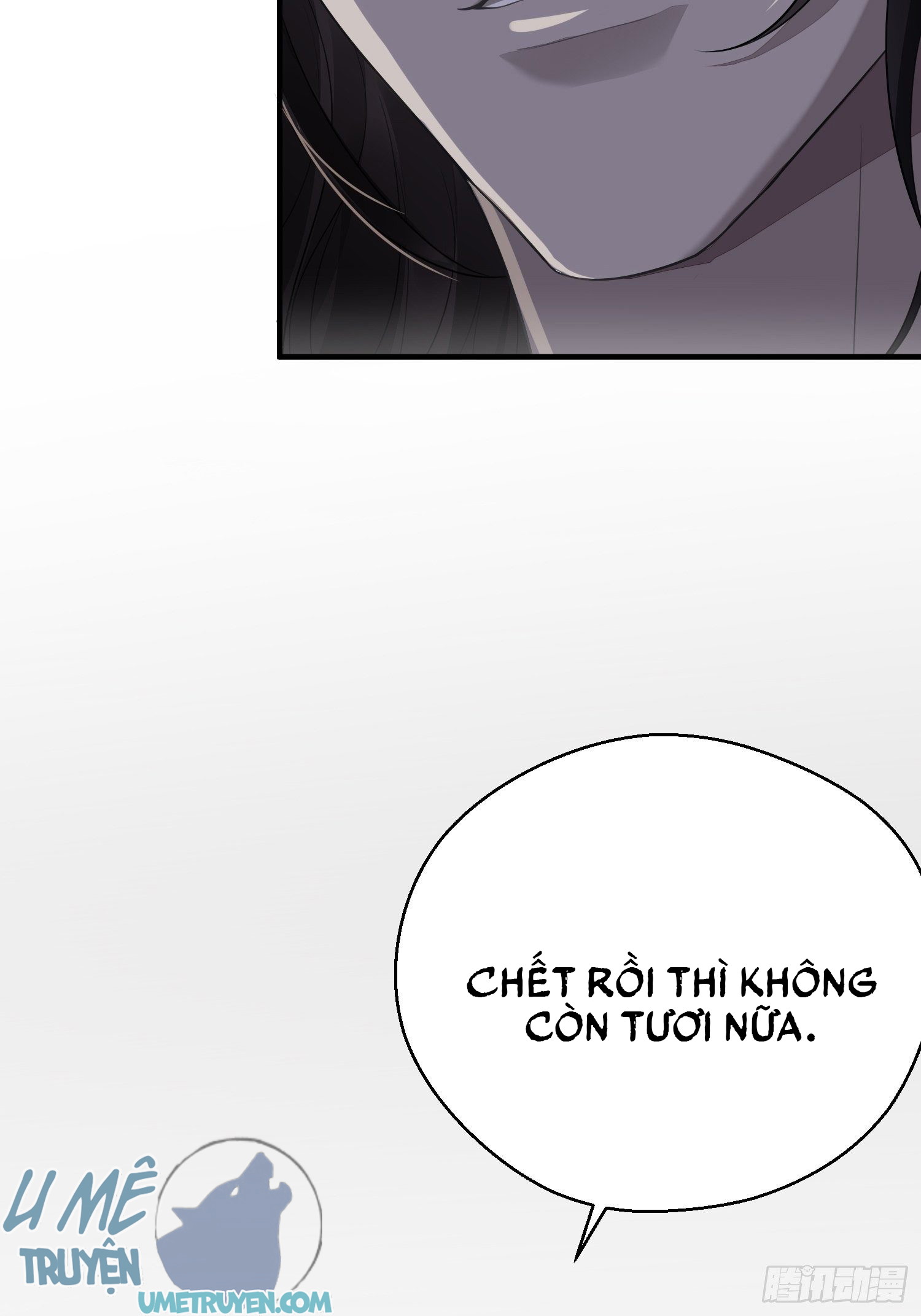 Dập Hoa Lục Chapter 17 - Next Chapter 18