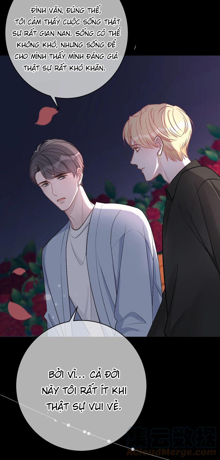 Trước Và Sau Ly Hôn! chapter 38 - Next Chapter 39
