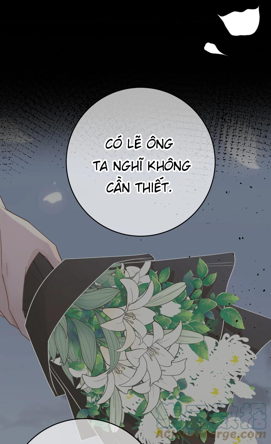 Trước Và Sau Ly Hôn! chapter 38 - Next Chapter 39