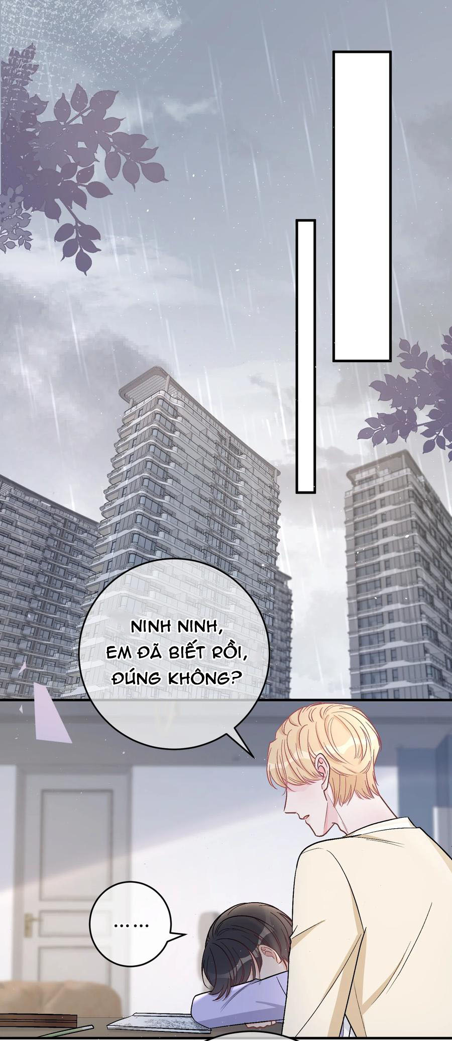Trước Và Sau Ly Hôn! Chapter 43 - Next Chapter 44