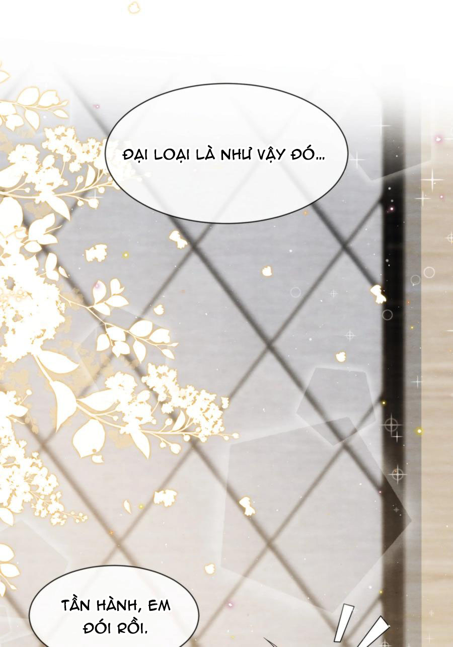 Trạch Mộc Nhi Tê Chapter 48 - Next Chapter 49