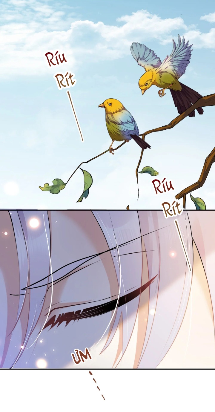 Trần Thương (Vết sẹo cũ) Chapter 17 - Next Chapter 18