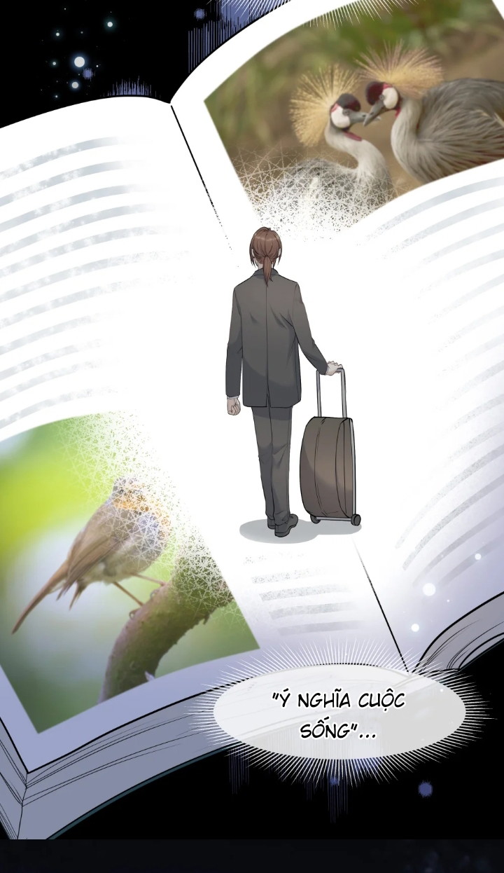 Trần Thương (Vết sẹo cũ) Chapter 23 - Next Chapter 24