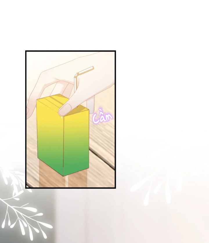 Bùi Bảo Chapter 11 - Next Chapter 12