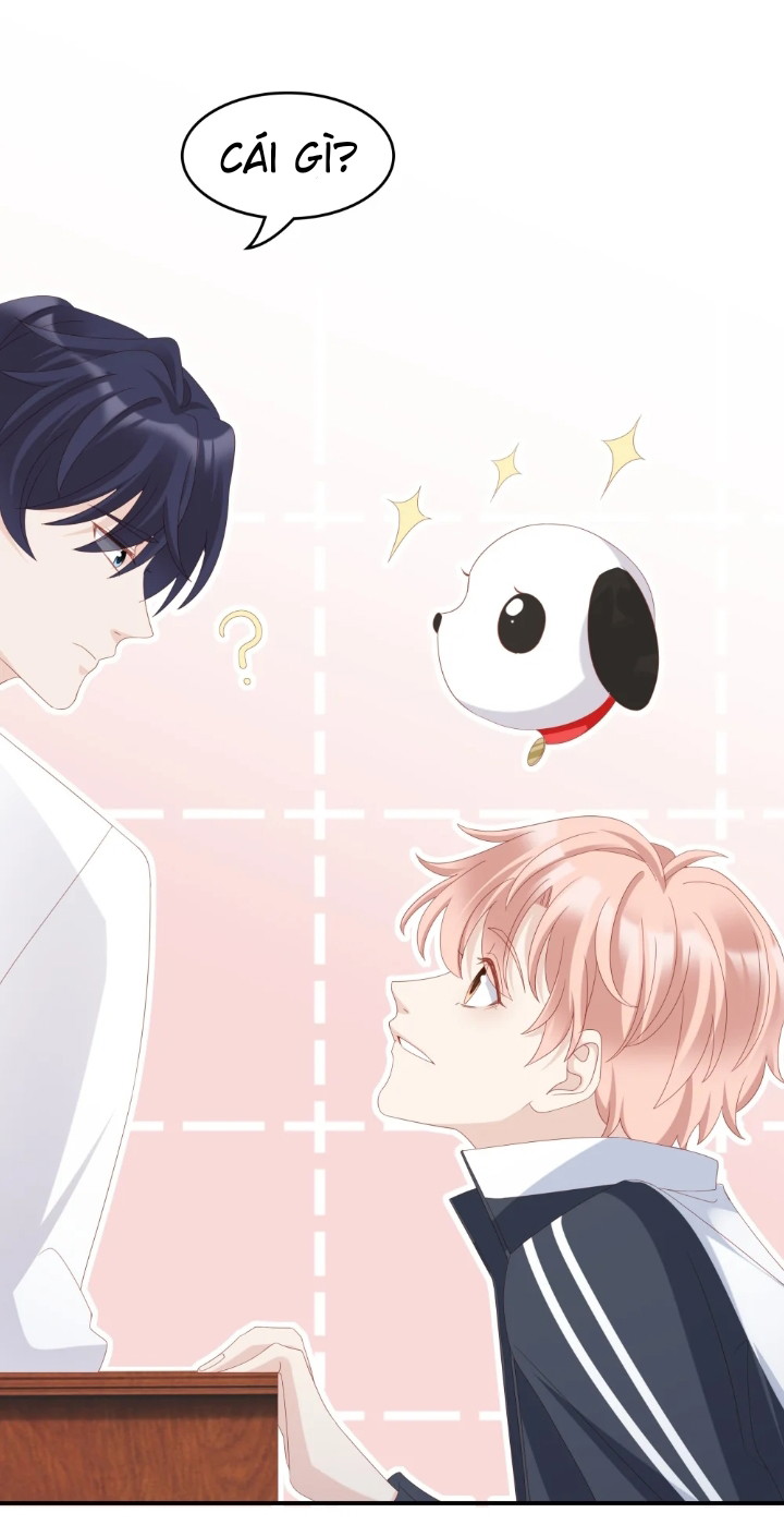 Bùi Bảo Chapter 12 - Next Chapter 13