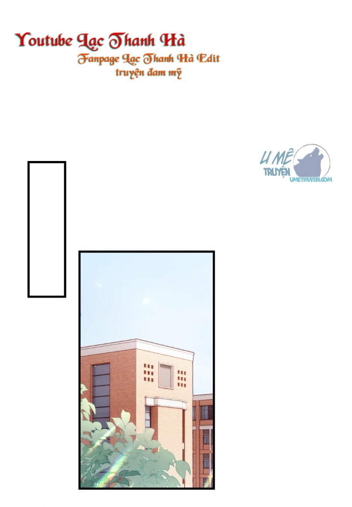 Bùi Bảo Chapter 19 - Next Chapter 20
