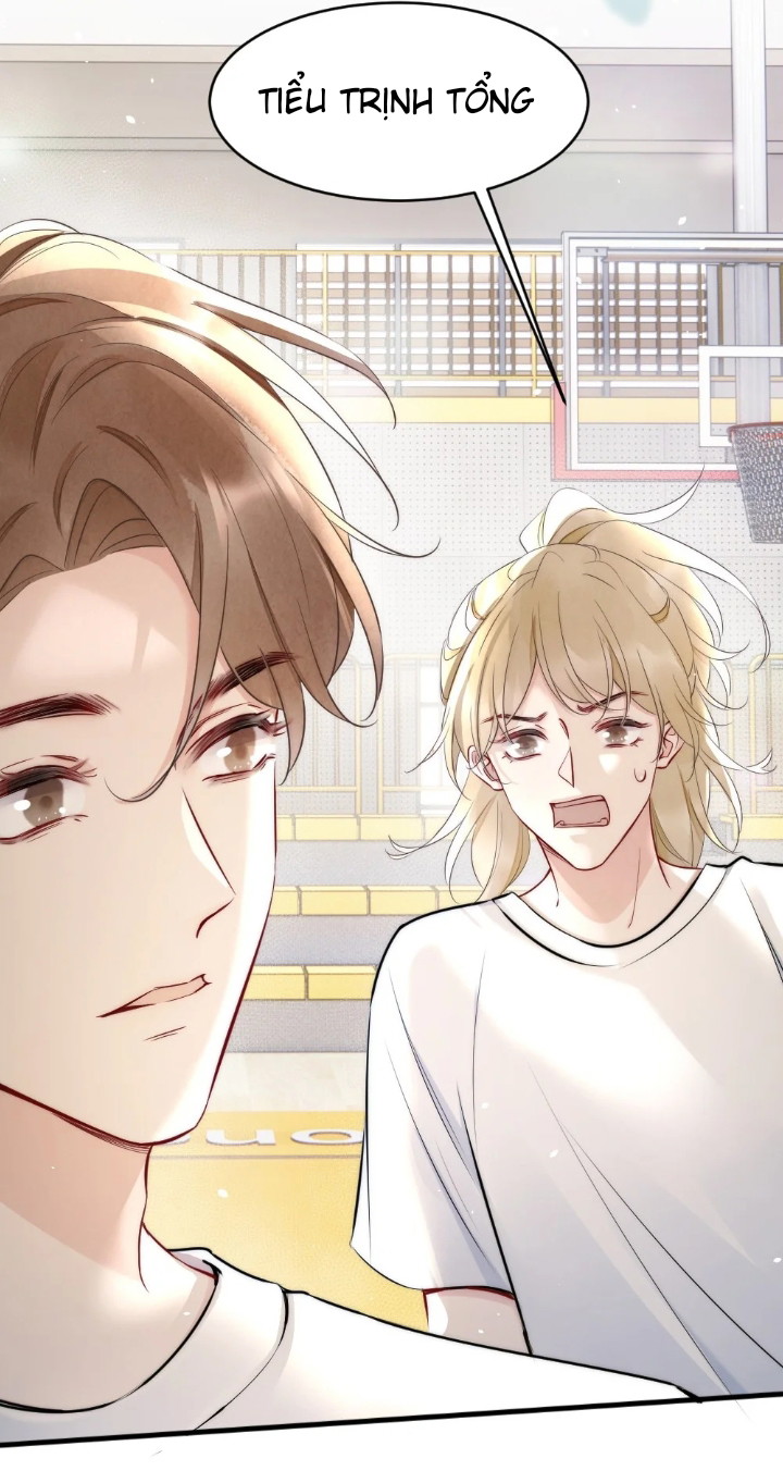 Cầu Vồng Hổ Phách Chapter 11 - Next Chapter 12