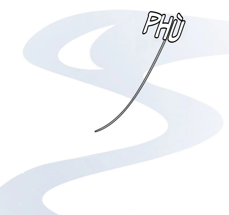 Cầu Vồng Hổ Phách Chapter 11 - Next Chapter 12