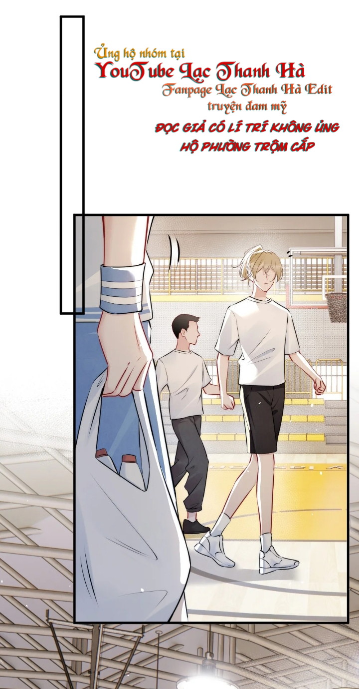 Cầu Vồng Hổ Phách Chapter 11 - Next Chapter 12