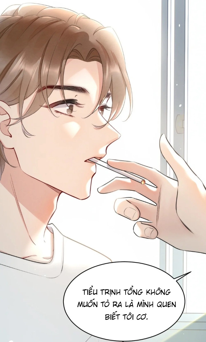 Cầu Vồng Hổ Phách Chapter 11 - Next Chapter 12