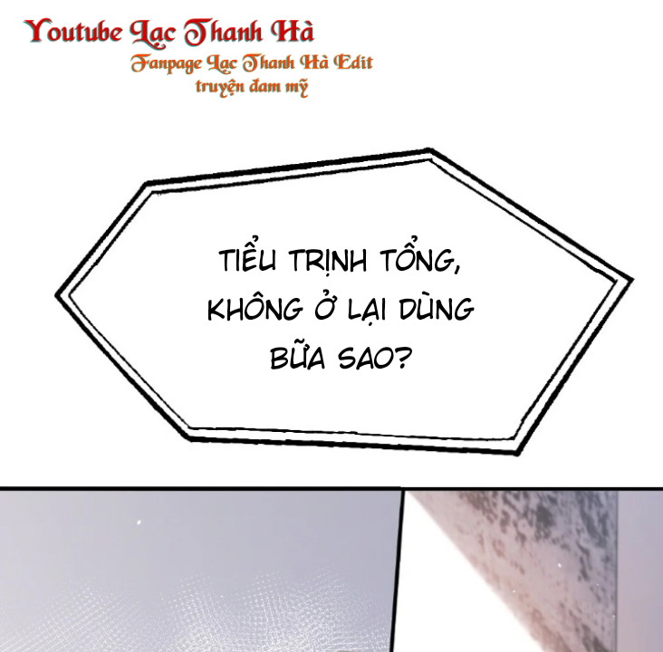 Cầu Vồng Hổ Phách Chapter 12 - Next Chapter 13