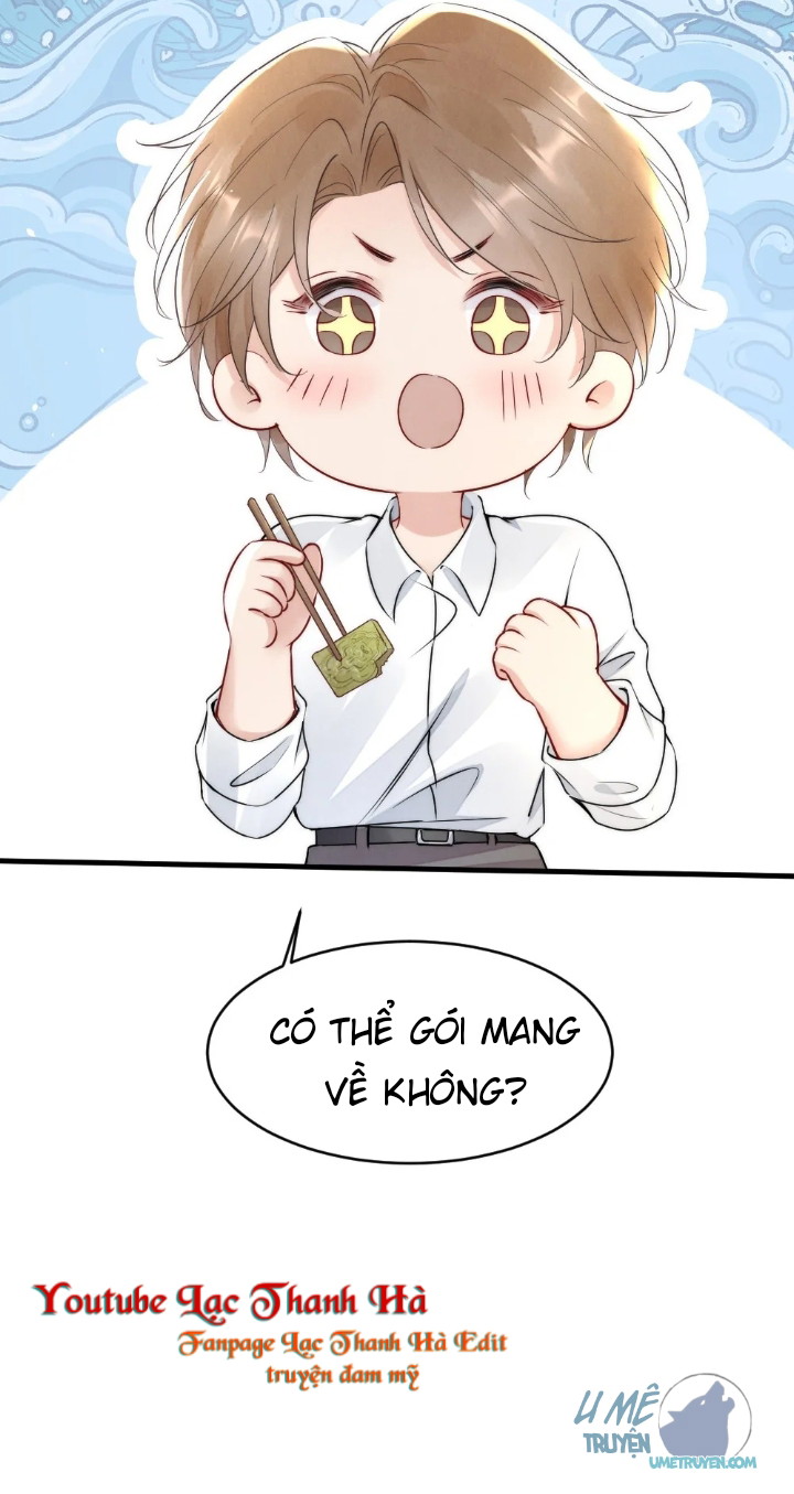 Cầu Vồng Hổ Phách Chapter 12 - Next Chapter 13