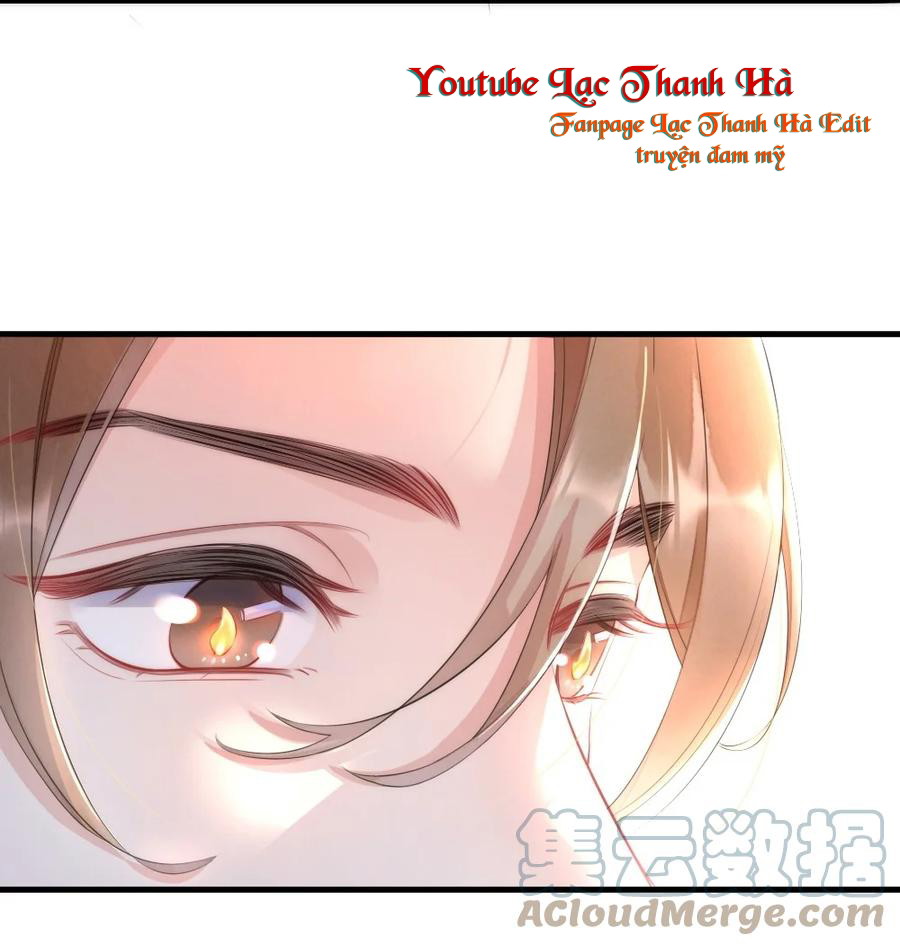 Cầu Vồng Hổ Phách Chapter 17 - Next Chapter 18