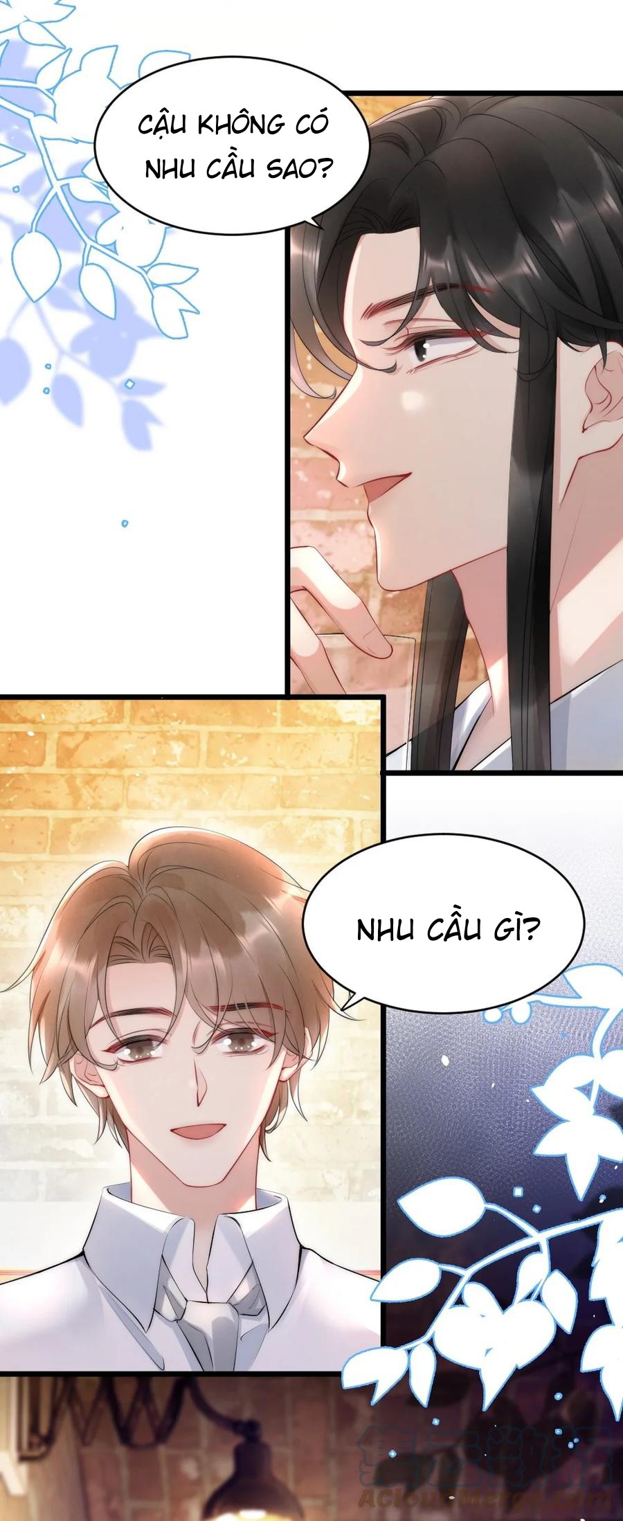 Cầu Vồng Hổ Phách Chapter 17 - Next Chapter 18