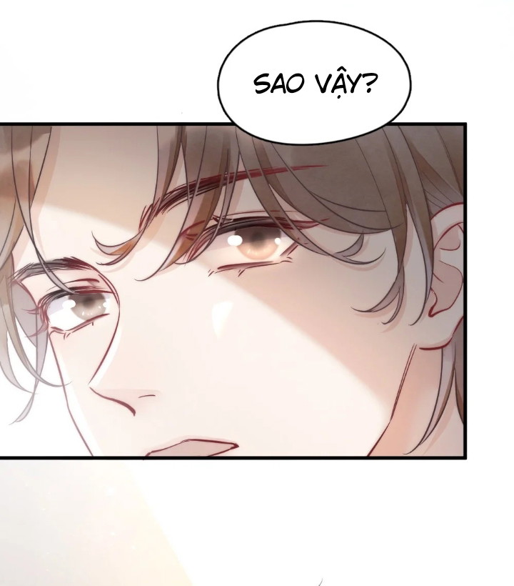Cầu Vồng Hổ Phách Chapter 2 - Next Chapter 3