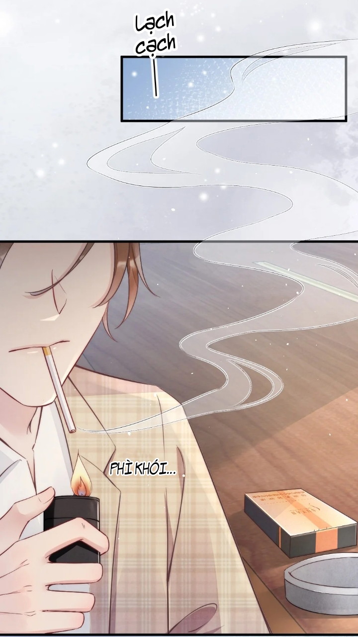 Cầu Vồng Hổ Phách Chapter 2 - Next Chapter 3