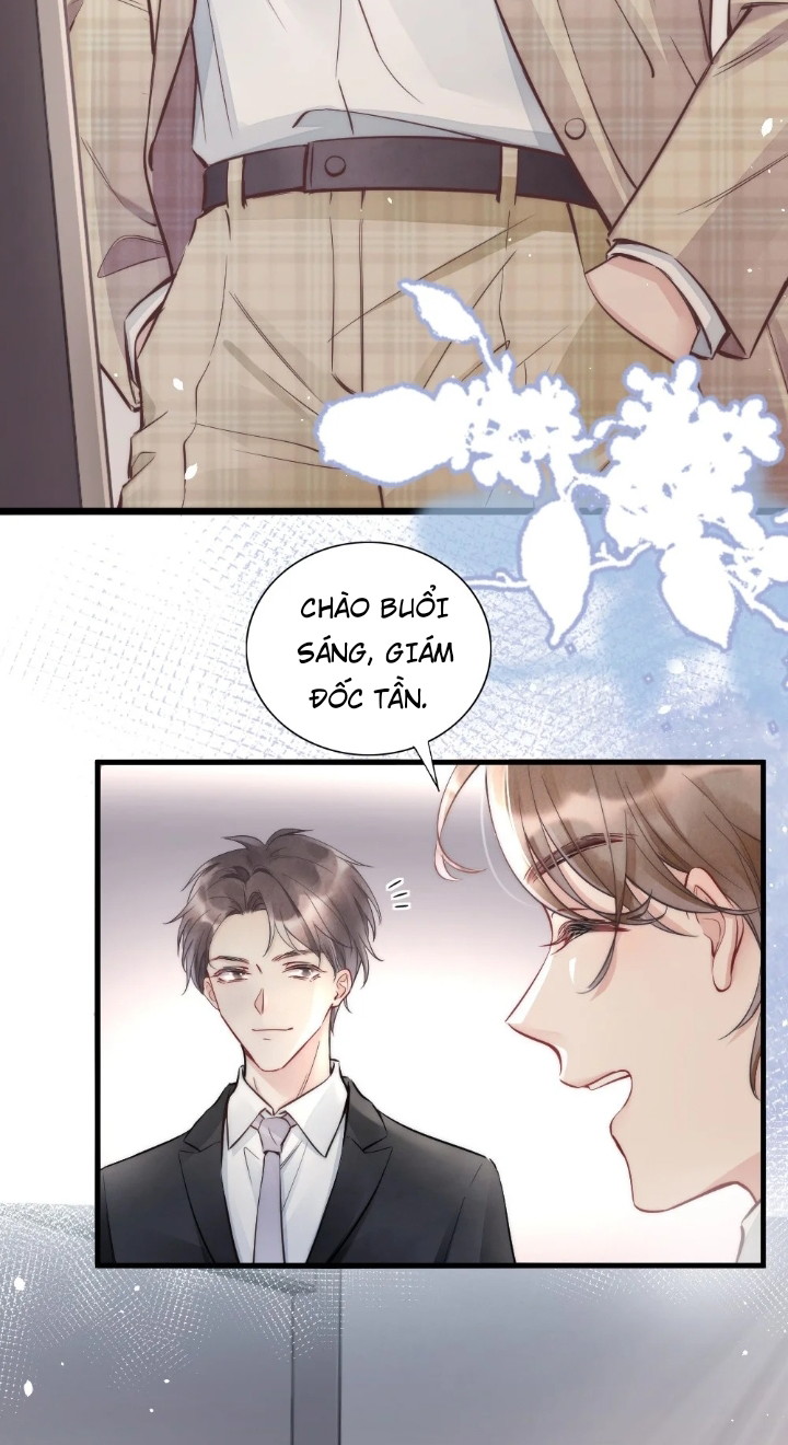 Cầu Vồng Hổ Phách Chapter 2 - Next Chapter 3
