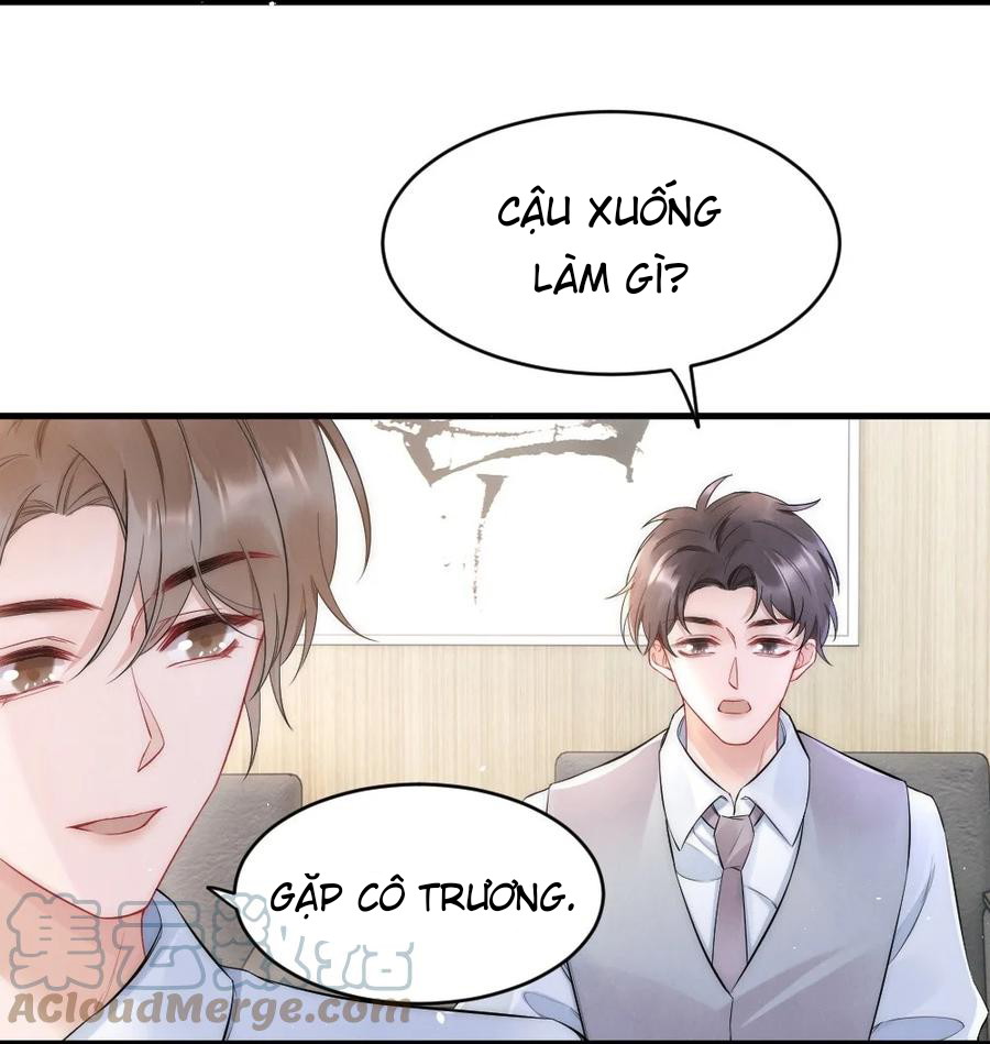 Cầu Vồng Hổ Phách Chapter 23 - Next Chapter 24