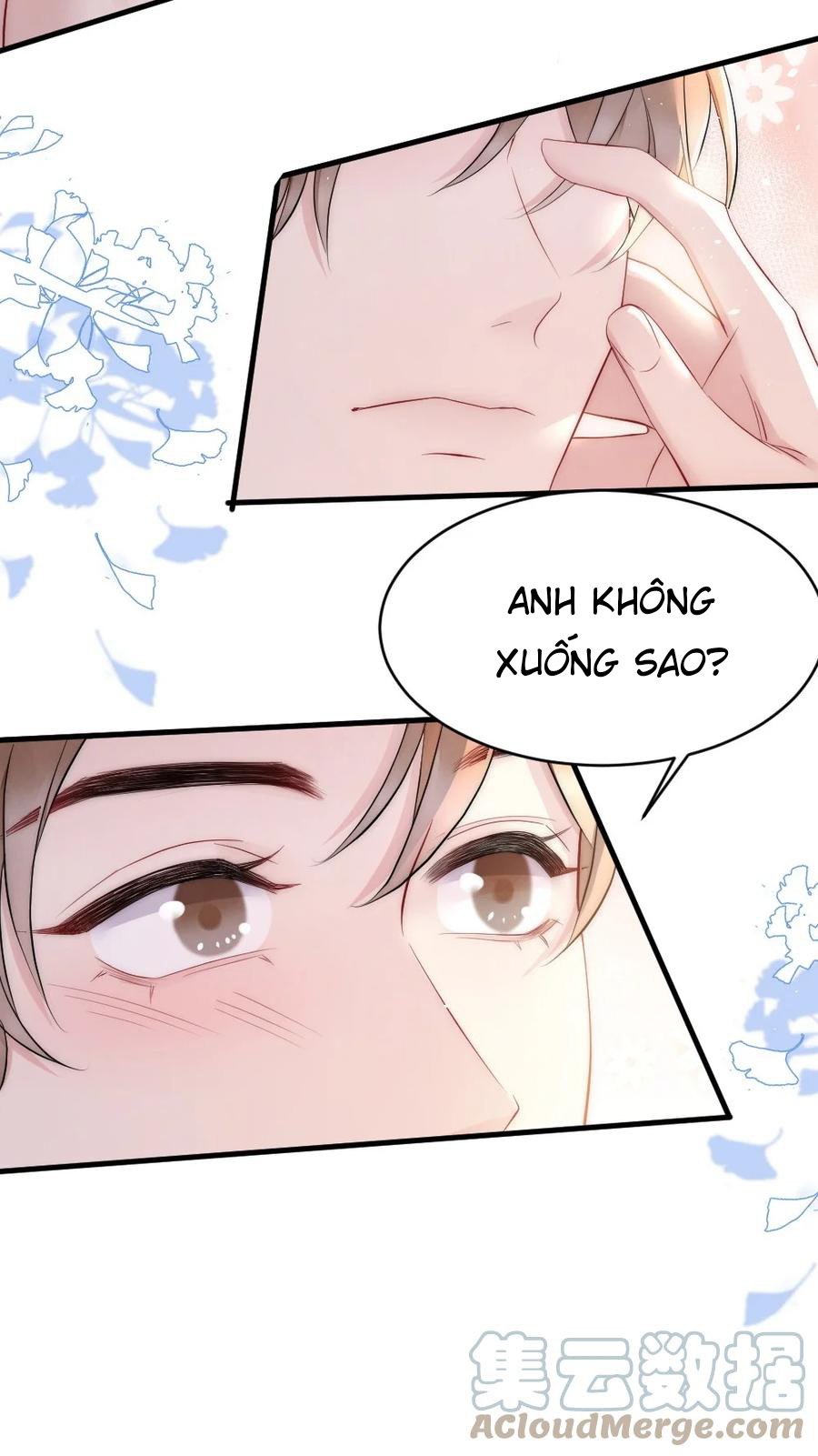 Cầu Vồng Hổ Phách Chapter 26 - Next Chapter 27