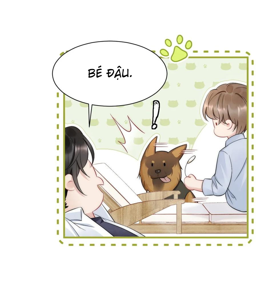 Cầu Vồng Hổ Phách Chapter 33 - Next Chapter 34