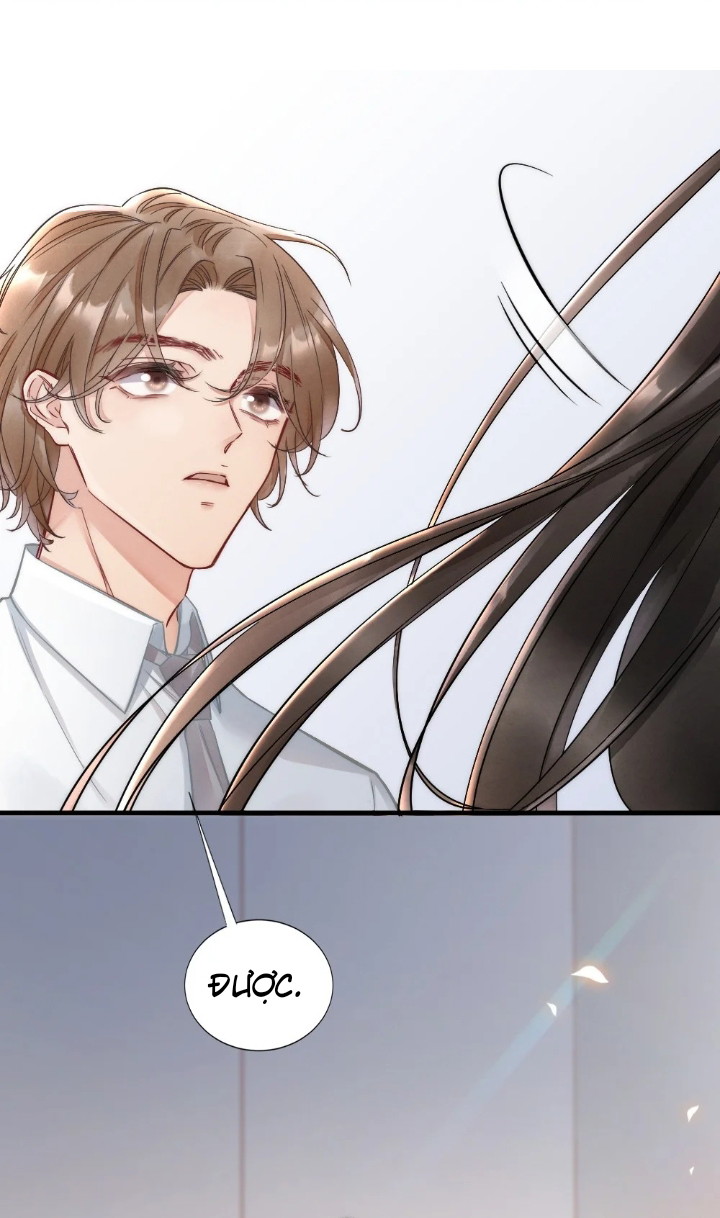 Cầu Vồng Hổ Phách Chapter 4 - Next Chapter 5