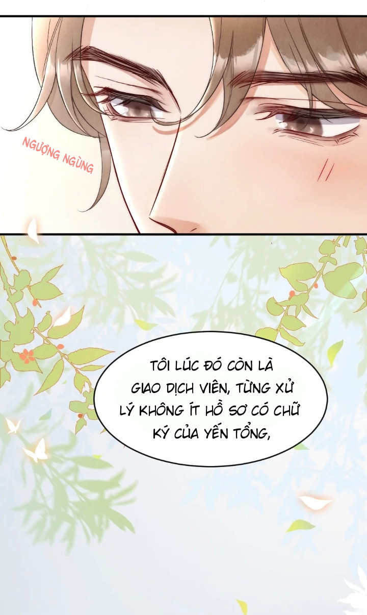 Cầu Vồng Hổ Phách Chapter 4 - Next Chapter 5