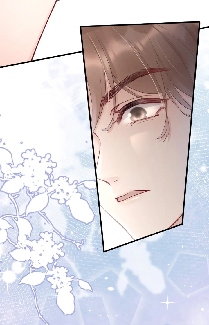 Cầu Vồng Hổ Phách Chapter 5 - Next Chapter 6