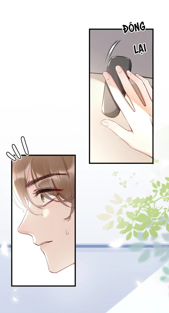 Cầu Vồng Hổ Phách Chapter 6 - Next Chapter 7