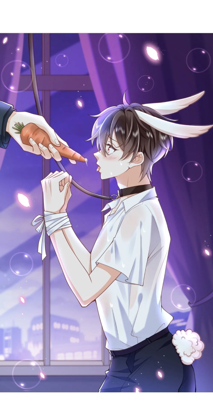Pháp Ngoại Chi Đồ Chapter 5 - Next Chapter 6