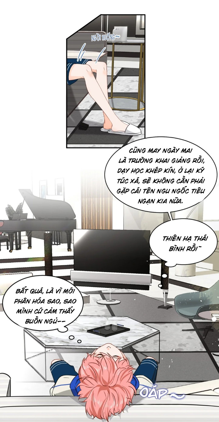 Tin Tức Tố Nói Chúng Ta Không Có Khả Năng Chapter 1 - Next Chapter 2
