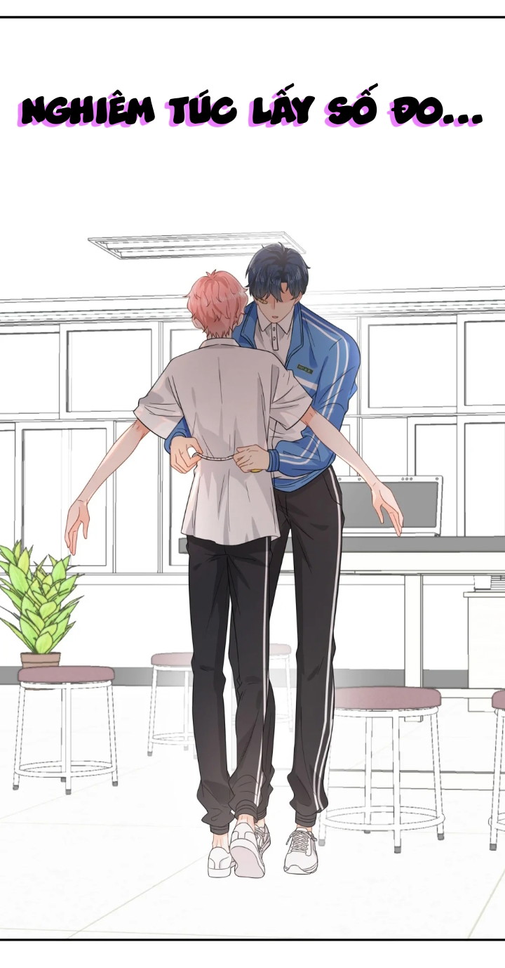 Tin Tức Tố Nói Chúng Ta Không Có Khả Năng Chapter 3 - Next Chapter 4