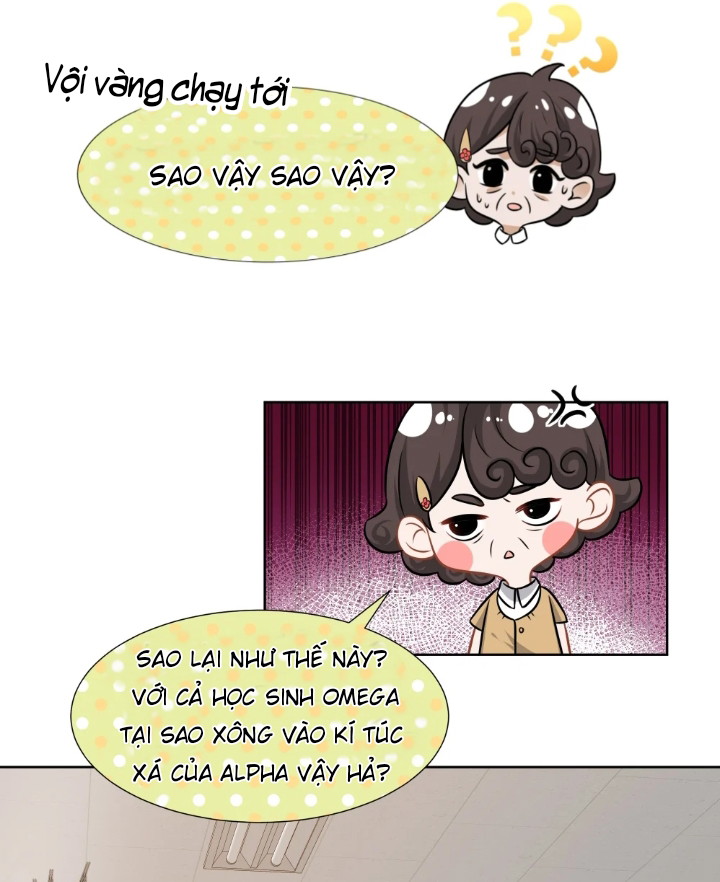 Tin Tức Tố Nói Chúng Ta Không Có Khả Năng Chapter 8 - Next Chapter 9