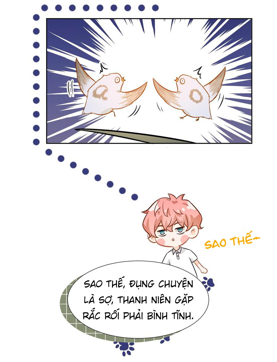 Tin Tức Tố Nói Chúng Ta Không Có Khả Năng Chapter 9 - Next Chapter 10