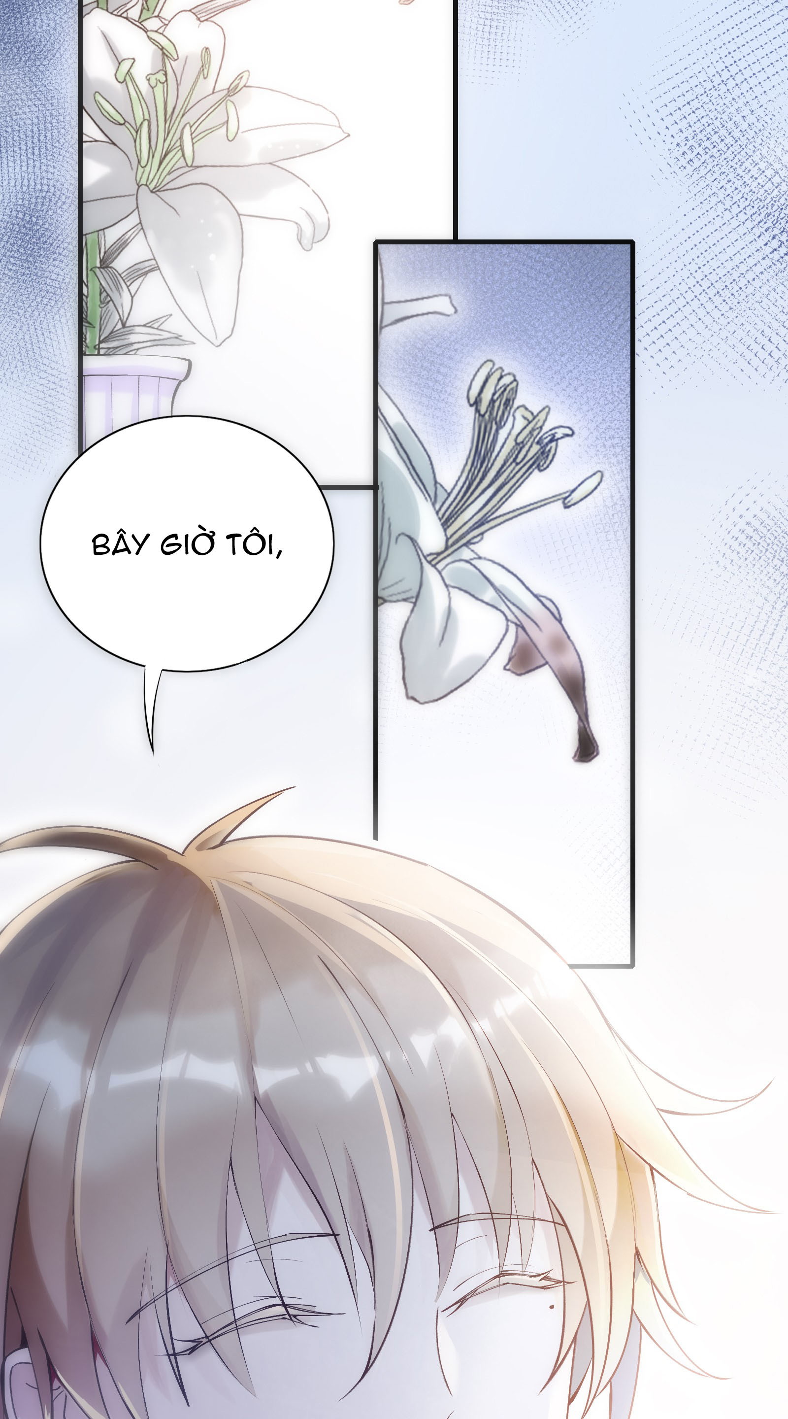 Tức Thời Phạm Quy [ Tức Thì Vi Quy ] Chapter 1 - Next Chapter 2