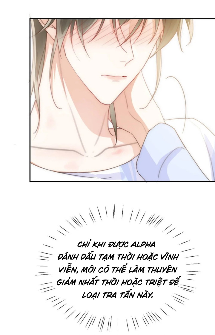 Nịch Tửu Chapter 11 - Next Chapter 12