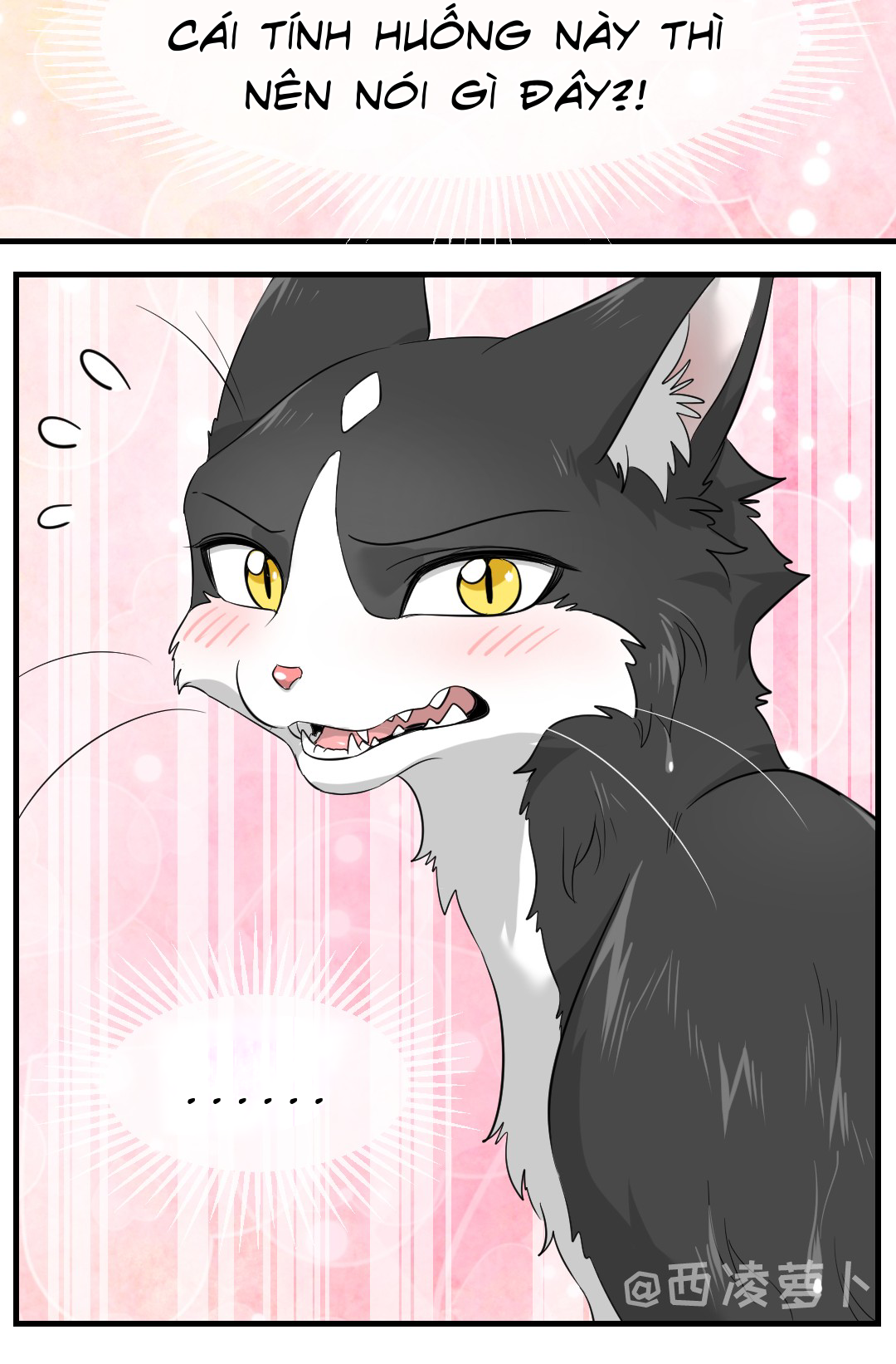 Hạt Mè Và Bánh Gạo Chap 6: Tắm cùng nhau nào~ - Next Chap 7: Phải làm gì đây...
