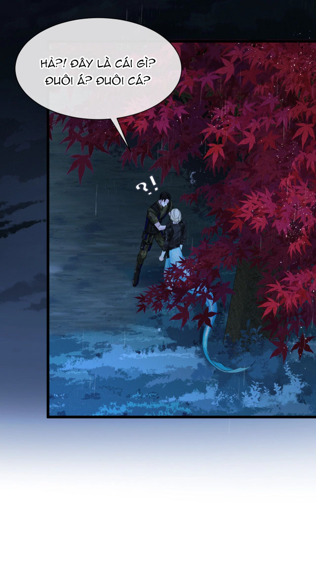 Nhân Ngư Rơi Xuống Chapter 29 - Next Chapter 30