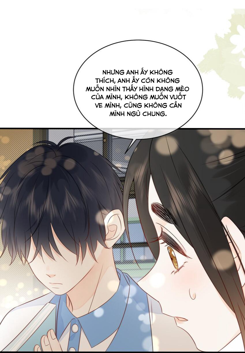 Dinh Dưỡng Quá Tốt Chapter 20 - Next Chapter 21